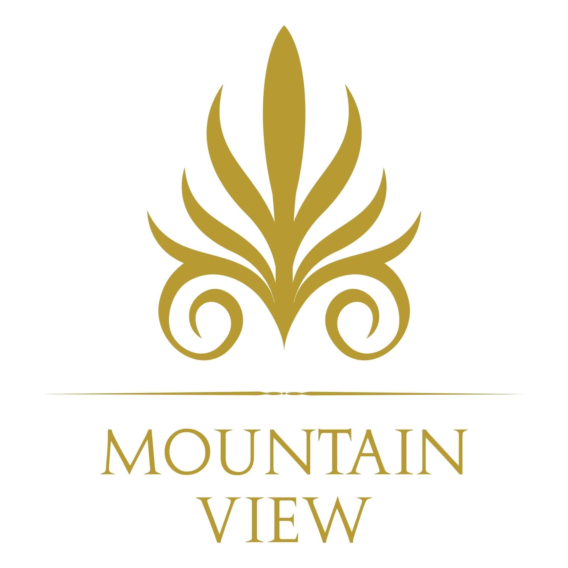 Developer: Mountain View